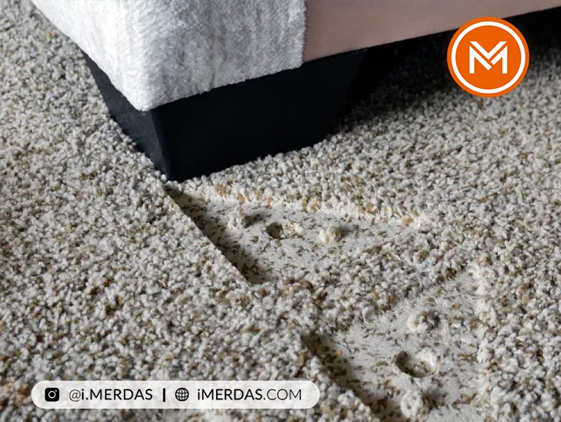 راه های رفع کوبیدگی فرش + جلوگیری از کوبیدگی فرش
